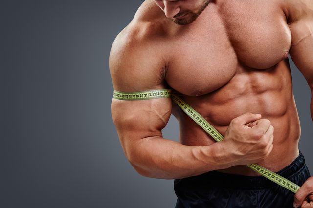 Muscle Gain/Weight Gain
